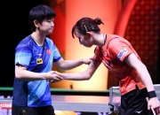 游戏试玩模拟器-包含法国乒乓球队险胜中国乒乓球队，水谷隼高光表现的词条