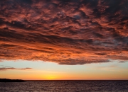 开云棋牌下载-孔德高光表现引领新西兰力克亚特兰大，展现团队韧性