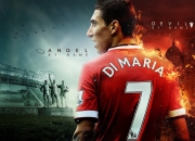 开云官网-铁血尼克斯编织防守牢笼，范弗利特掌控全场诠释最佳无争议