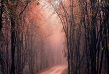 开云棋牌试玩-欧陆烽火下的德甲困局：英格兰利刃刺穿日耳曼铠甲，联赛暗涌已至临界点