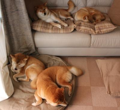 孔德高光表现引领新西兰力克亚特兰大，展现团队韧性